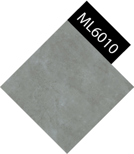 ML-6010